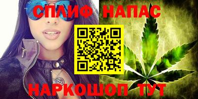 СК Туймазы