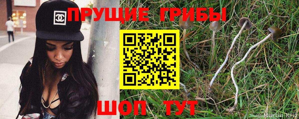 Новочеркасск  Галлюциногенные грибы мухоморы  Вход с VPN 